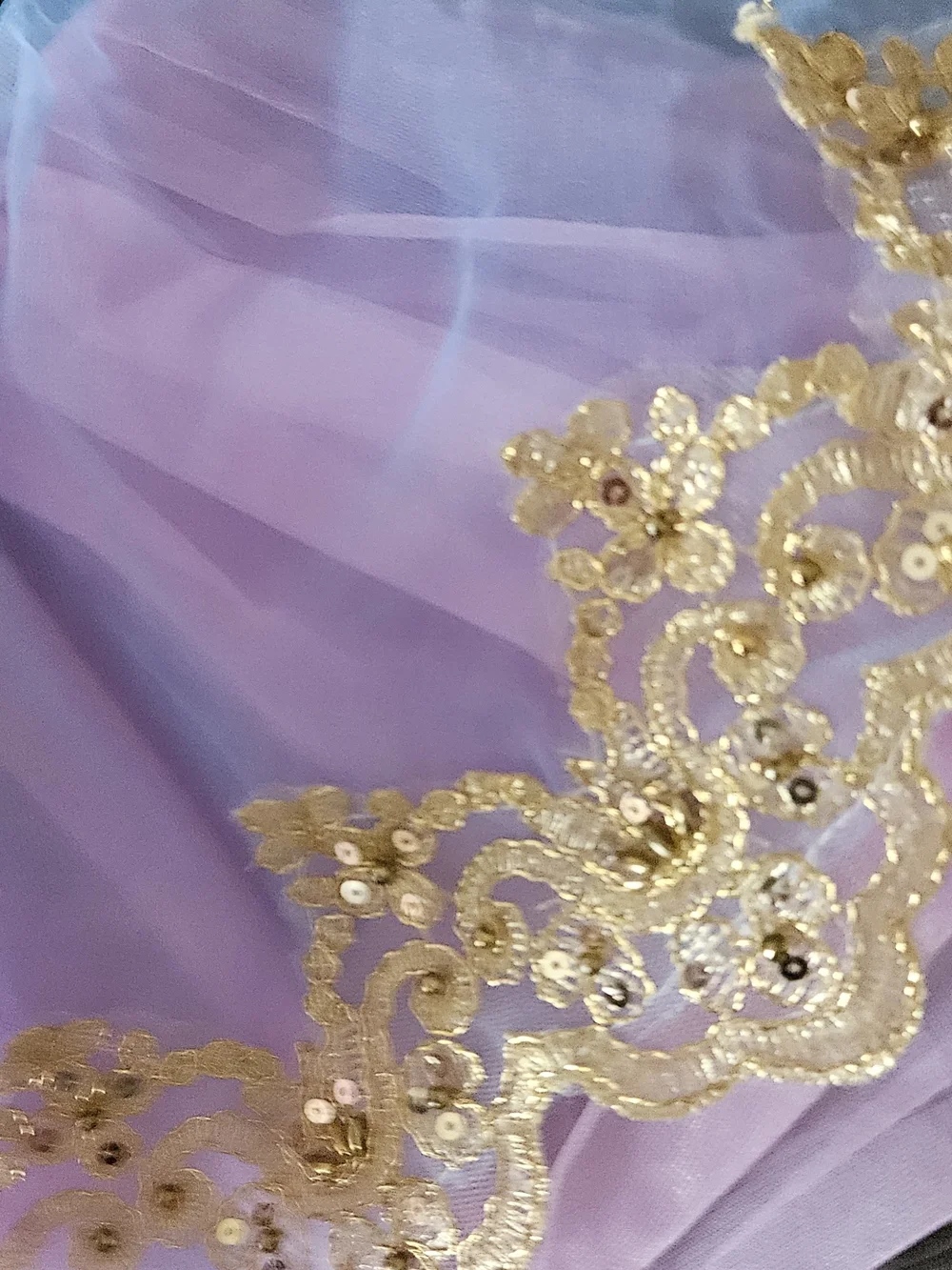 Blue & Pink Gold-Trim Tulle Dance Costume 